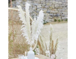 5 Stems Pampas Grass A Touch Of Pampas Dried And Bleached Length Appr. 90 Cm 6 5 Stems Pampas Grass A Touch Of Pampas Dried And Bleached Length Appr. 90 Cm -Feestspullen Winkel 5 stems pampas grass a touch of pampas dried and b 2