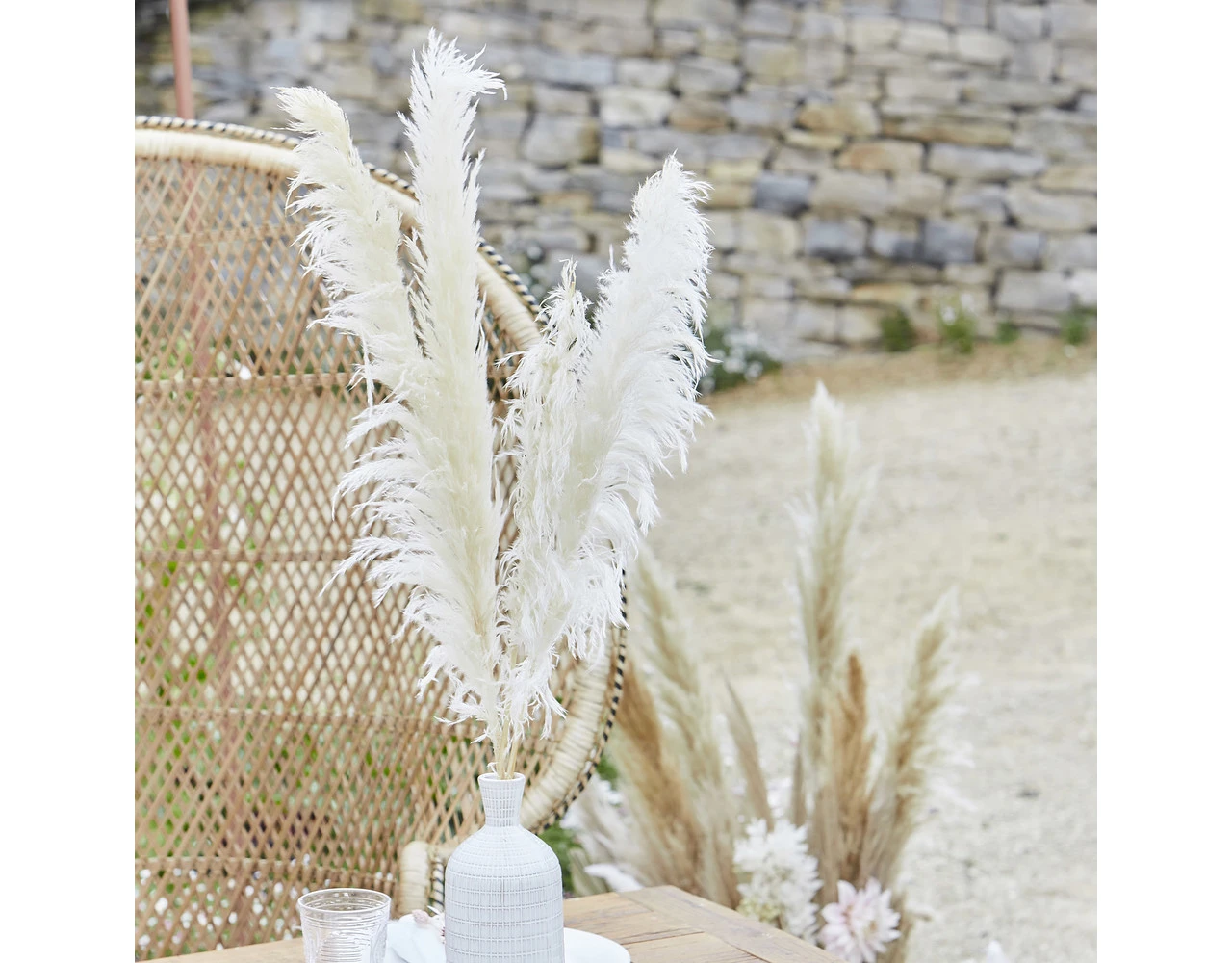 5 Stems Pampas Grass A Touch Of Pampas Dried And Bleached Length Appr. 90 Cm 3 5 Stems Pampas Grass A Touch Of Pampas Dried And Bleached Length Appr. 90 Cm - Afbeelding 3