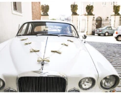 Auto Decoratie Set Bruiloft Strikjes -Feestspullen Winkel auto decoratie set bruiloft strikjes 6