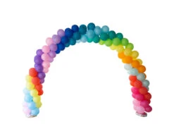 Ballonnenboog Zelf Maken Set 3x2,5m