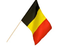 Belgie Zwaaivlag 45cm
