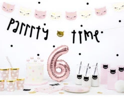 Borden Kat 22cm 6st -Feestspullen Winkel borden kat 22cm 6st 4