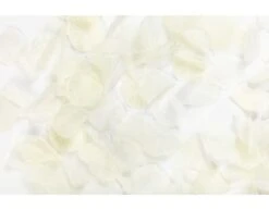 Creme Rozenblaadjes 144st