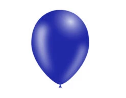 Donkerblauwe Ballonnen 25cm 10st