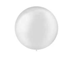 Doorzichtige Ballon 60cm