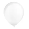 Doorzichtige Ballonnen 30cm 10st
