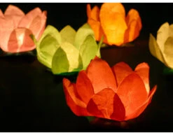 Drijvende Lantaarns Gekleurd 29cm 6st -Feestspullen Winkel drijvende lantaarns gekleurd 29cm 6st 8