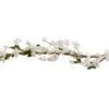 Foliage Garland Blossom White