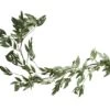 Foliage Garland Green Ruscus