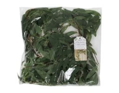 Foliage Garland Green Ruscus -Feestspullen Winkel foliage garland green ruscus 2