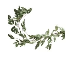 Foliage Garland Green Ruscus