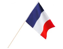 Franse Zwaaivlag 45cm