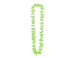 Gekleurde Hawaii Krans 25st -Feestspullen Winkel gekleurde hawaii krans 25st 2