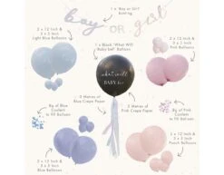 Gender Reveal Ballonnen Set 43cm -Feestspullen Winkel gender reveal ballonnen set 43cm 2