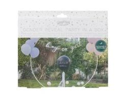 Gender Reveal Ballonnen Set 43cm