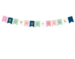Gender Reveal Banner 1,75m
