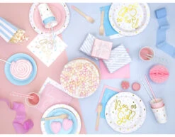 Gender Reveal Borden 23cm 6st -Feestspullen Winkel gender reveal borden 23cm 6st 2