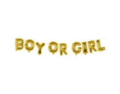 Gender Reveal Letter Ballon Boy Or Girl 4m