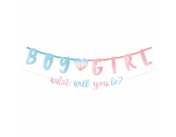 Gender Reveal Letterslinger 2 Delig