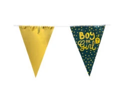 Gender Reveal Slinger Boy Or Girl 6m