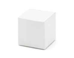Geschenkdoosjes Kubus Wit 5cm 10st