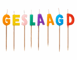 Geslaagd Kaarsen 14cm