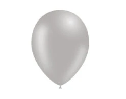 Grijze Ballonnen 25cm 50st