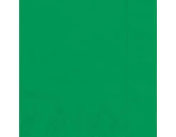 Groene Servetten 2 Laags 33cm 20st