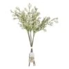 Gypsophilia Stems 5pk