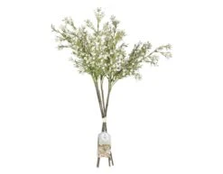 Gypsophilia Stems 5pk