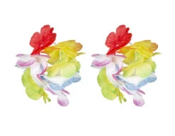 Hawaii Krans Set Deluxe 4 Delig -Feestspullen Winkel hawaii krans set deluxe 4 delig 4