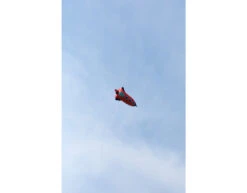 Helium Ballon Raket Leeg 1,15m -Feestspullen Winkel helium ballon raket leeg 115m 3