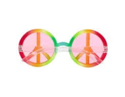 Hippie Kostuum Set 2 Delig -Feestspullen Winkel hippie kostuum set 2 delig 6