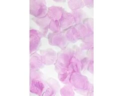 Lila Rozenblaadjes 144st