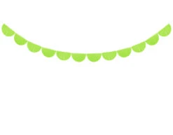 Lime Groene Slingers Crepe Franje Rond 3m