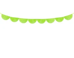 Lime Groene Slingers Crepe Franje Rond XL 3m