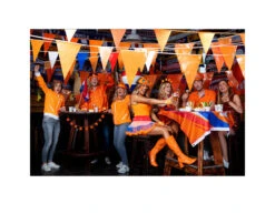 Oranje Slinger 10m -Feestspullen Winkel oranje slinger 10m 2