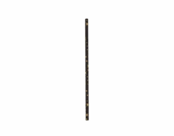 Papieren Rietjes Gouden Sterren Zwart 20cm 8st
