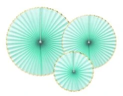 Papieren Waaiers Mintgroen Goud Set 23-40cm 3 Delig