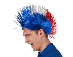 Pruik Punk Frankrijk