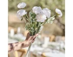 Rancula Stems 3pk -Feestspullen Winkel rancula stems 3pk 2