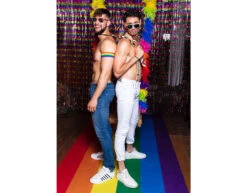 Regenboog Deurgordijn Metallic 2m -Feestspullen Winkel regenboog deurgordijn metallic 2m 4