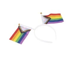 Regenboog Haarband Vlaggen 27cm