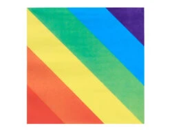 Regenboog Servetten 33cm 20st