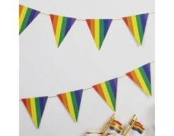 Regenboog Slinger 5m -Feestspullen Winkel regenboog slinger 5m 2