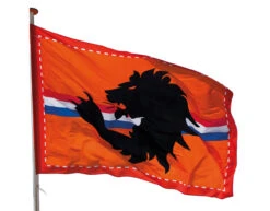 Reuzenvlag Leeuw 3m