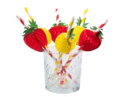 Rietjes Fruit Papier 20cm 6st