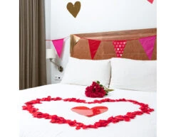 Rode Rozenblaadjes 288st -Feestspullen Winkel rode rozenblaadjes 288st 2