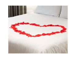 Rode Rozenblaadjes 288st -Feestspullen Winkel rode rozenblaadjes 288st 3