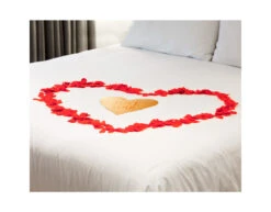 Rode Rozenblaadjes 288st -Feestspullen Winkel rode rozenblaadjes 288st 8